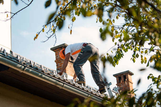 Trusted Osceola, MO Roofing Service Experts