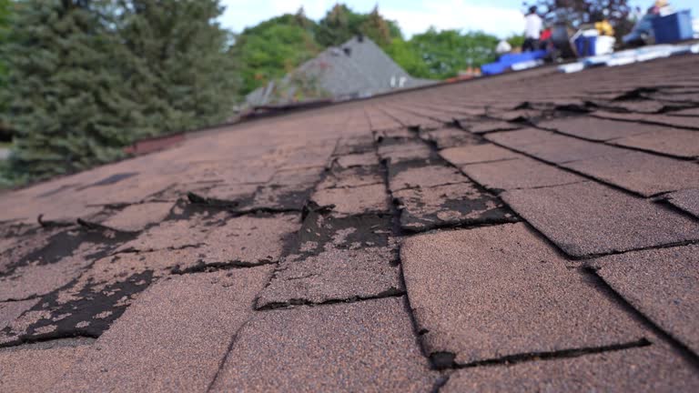 Best Wood Shake Roofing  in Osceola, MO