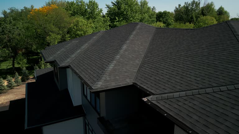 Best Roof Insulation Installation  in Osceola, MO