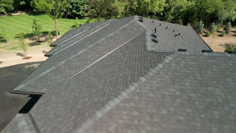 Best Roof Coating and Sealing  in Osceola, MO