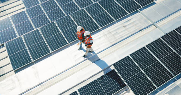 Best Roof Moss and Algae Removal  in Osceola, MO