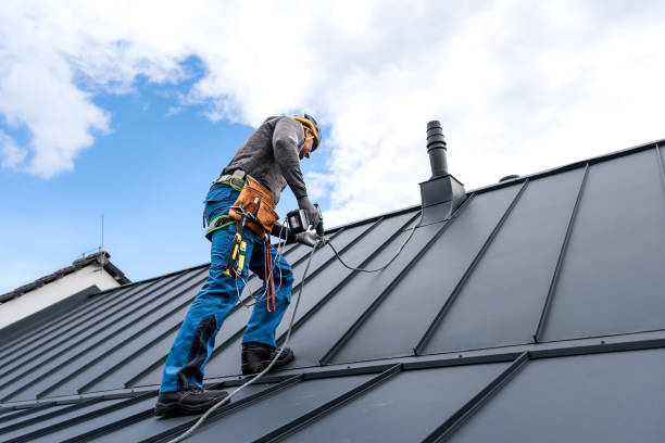 Best Roof Ventilation Installation  in Osceola, MO